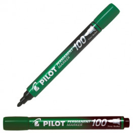 Popisovač Pilot Marker 100 zelený